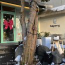 하포리 | 부케 예쁘게 돌려주기! 광주 하바리움 제작 하포리!