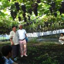 도호농장 이미지