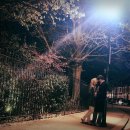 트럼펫연주 이미지