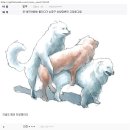 카페밴 이미지