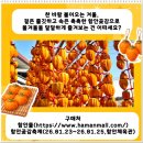 미스터 트롯과 명품국악 | 경남 1월 가볼만한곳! 함안곶감축제 2026 기본정보 (일정 가수 라인업 구매 방법)