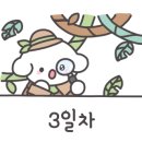 와이니샵 이미지