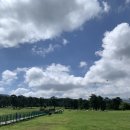 백마축산 | 제주도 말 목장 마방목지 솔직 후기