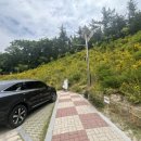 일등카박사 이미지