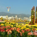 가고파플라워 이미지