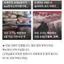또맛나요 이미지