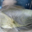 마송영농조합법인 이미지