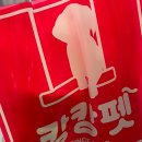 캉캉펫 - 성남시 중원구 산성대로 204-5 | 캉캉펫
