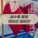 효민이네 스토어 | 성수동 팝업 쇼핑 코스, 효민 수영복 브랜드 성수동 데이즈데이즈 전 컬렉션 구경!