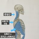 선아일랜드 이미지