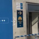 태영모터스 이미지