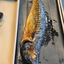 (주)세하라인 이미지