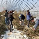 대소면사무소 이미지