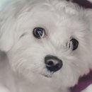 한결동물의료센터 이미지