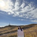 카페 마킨 | 후쿠오카 근교 당일치기 - 아소산 분화구 &amp; 맛집 이마킨쇼쿠도 &amp; 다이칸보 전망대 (feat. 주차정보)