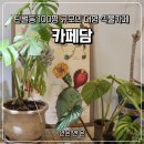 이배재로 59 | 경기도 광주 탄벌동 책 읽기 좋은 조용한 대형 식물카페 카페담 내돈내산 방문 후기