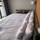 라모타B 이미지