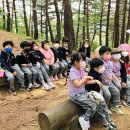 삼척동자 유아숲체험원 이미지
