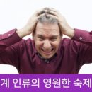 다모가발헤어