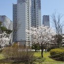 다정행정사사무소 이미지