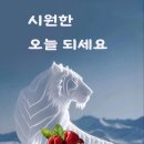 인생은 마라톤~? 이미지