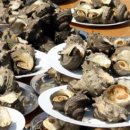 우도기행 이미지