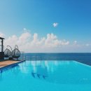 수영세탁 이미지