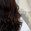 컷트의집 이미지
