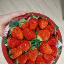 은성식자재마트 이미지