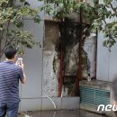고스라니 뉴스1