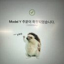 테슬라 모델 Y 주니퍼 RWD(2026) 구매 방법 총정리, 테슬라 셀프 인도 방법, 테슬라 구매-인도 후기★