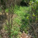 사직중학교 이미지