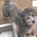 사내면사무소 이미지