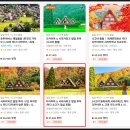 버스정류장 05-105 | 나고야 여행코스 다카야마 시라카와고 버스투어 가는 법 히다규 추천