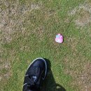 대전 Par3 골프클럽 이미지