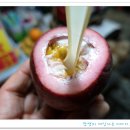 계화당 이미지