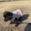 옹기종기 이미지