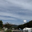 황매산숯불구이 | 합천 수영장 있는 황매산 머물당 글램핑 꽃게마요구이