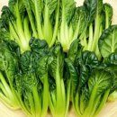 우연한발견 이미지