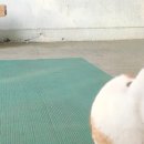 천우당약국 이미지