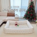 쉬즈홈 | 신생아 아기 침대 쉬즈홈 순면 범퍼쿠션 후기 (리얼 후기)
