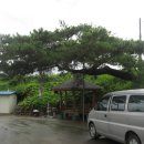 금곡2리 이미지