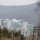 더편리한 행정사사무소 이미지