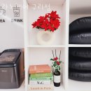 라노헤어 이미지