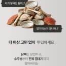 MAX(맥스) | [미닉스]미닉스 더 플랜더 MAX: 내돈내산 음식물 처리기 실사용 후기 | 베이직-프로-맥스 비교