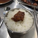 보성녹돈참숯구이 네이버블로그
