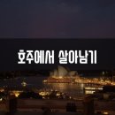 위즈차이나