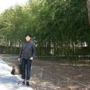 신쭈 이미지