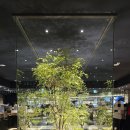 키누카누 파주야당점 이미지