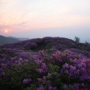 팔령치